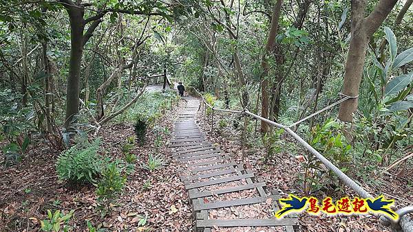 樹林大同山-尖棟山-青龍嶺-南寮福德宮 (28).jpg