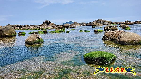 八斗子潮境公園(百合花季)-濱海秘境-望幽谷步道 (25).jpg