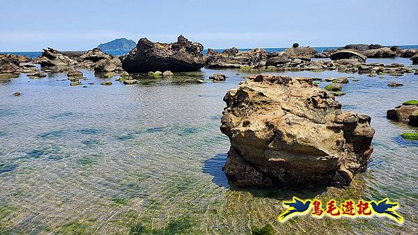 八斗子潮境公園(百合花季)-濱海秘境-望幽谷步道 (34).jpg