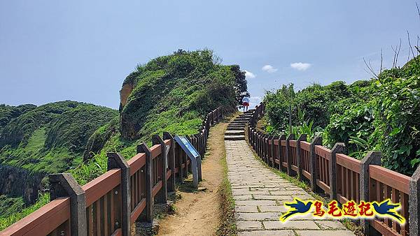 八斗子潮境公園(百合花季)-濱海秘境-望幽谷步道 (40).jpg