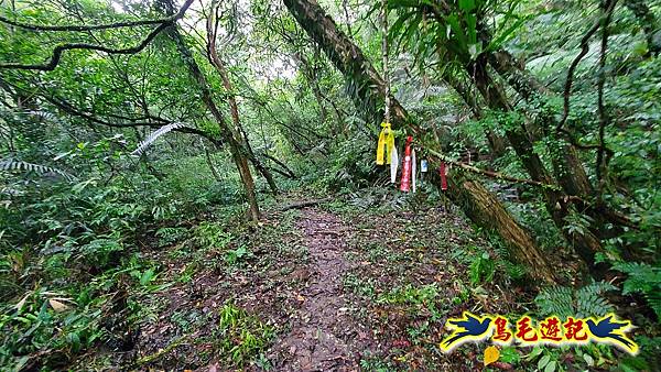 平溪白石腳-峰頭尖-忘憂古道O形 (14).jpg