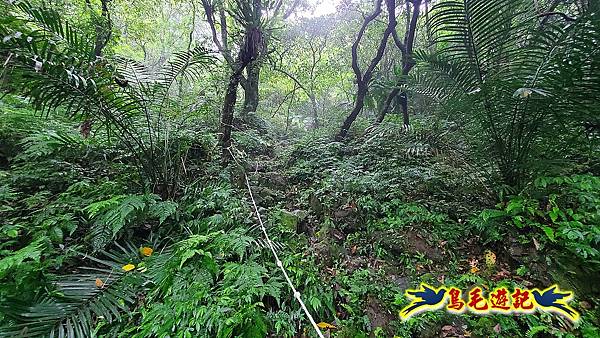 平溪白石腳-峰頭尖-忘憂古道O形 (23).jpg