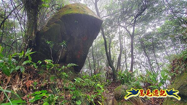 平溪白石腳-峰頭尖-忘憂古道O形 (28).jpg