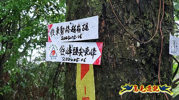 平溪白石腳-峰頭尖-忘憂古道O形 (34).jpg