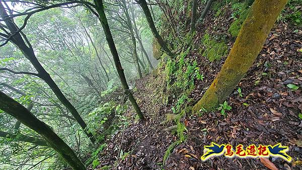 平溪白石腳-峰頭尖-忘憂古道O形 (40).jpg