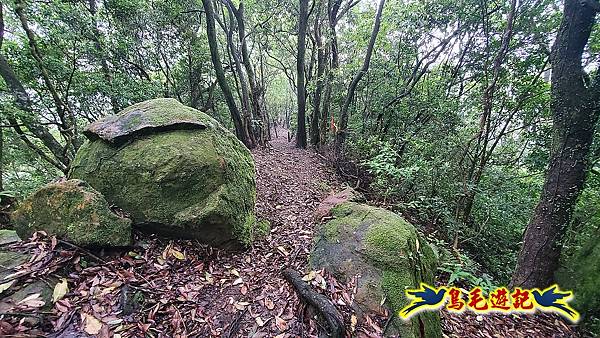 平溪白石腳-峰頭尖-忘憂古道O形 (48).jpg