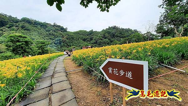 桃園百吉休閒農場-忘憂山丘 (25).jpg