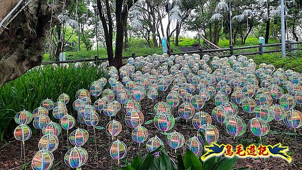 大古山步道公園-『夏日奇幻境』(白天) (5).jpg