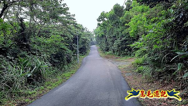 大古山步道公園-『夏日奇幻境』(白天) (18).jpg