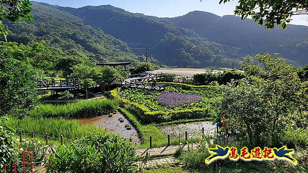 碧山巖-白石湖-龍船岩步道-鯉魚山小人國步道O形 (6).jpg