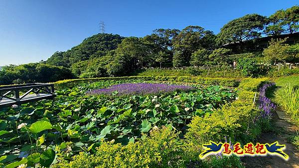 碧山巖-白石湖-龍船岩步道-鯉魚山小人國步道O形 (8).jpg 碧山巖-白石湖-龍船岩步道-鯉魚山小人國步道O形 (8).jpg