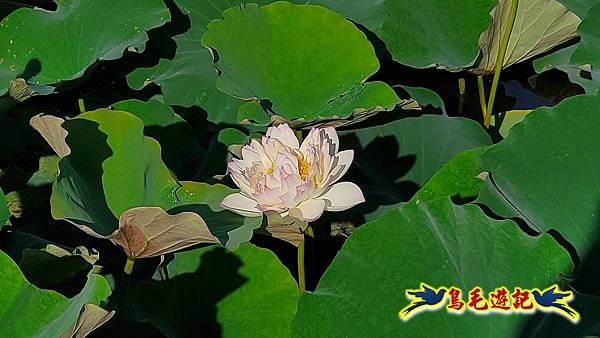 碧山巖-白石湖-龍船岩步道-鯉魚山小人國步道O形 (10).jpg 碧山巖-白石湖-龍船岩步道-鯉魚山小人國步道O形 (10).jpg