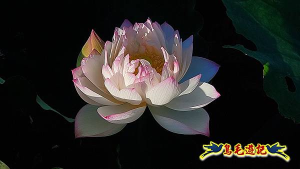 碧山巖-白石湖-龍船岩步道-鯉魚山小人國步道O形 (14).jpg 碧山巖-白石湖-龍船岩步道-鯉魚山小人國步道O形 (14).jpg