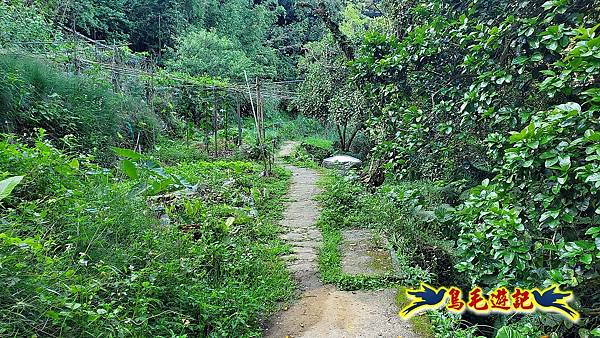 碧山巖-白石湖-龍船岩步道-鯉魚山小人國步道O形 (22).jpg