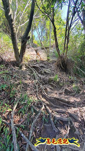 碧山巖-白石湖-龍船岩步道-鯉魚山小人國步道O形 (38).jpg