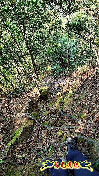 碧山巖-白石湖-龍船岩步道-鯉魚山小人國步道O形 (39).jpg 碧山巖-白石湖-龍船岩步道-鯉魚山小人國步道O形 (39).jpg