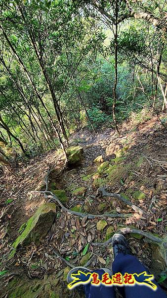 碧山巖-白石湖-龍船岩步道-鯉魚山小人國步道O形 (39).jpg