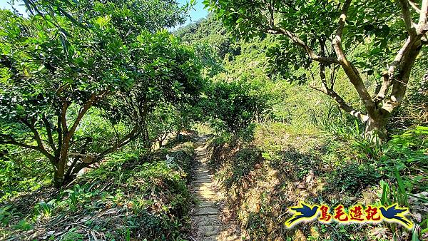碧山巖-白石湖-龍船岩步道-鯉魚山小人國步道O形 (41).jpg 碧山巖-白石湖-龍船岩步道-鯉魚山小人國步道O形 (41).jpg