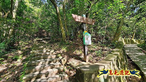 碧山巖-白石湖-龍船岩步道-鯉魚山小人國步道O形 (45).jpg