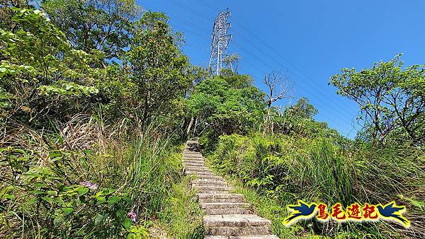 碧山巖-白石湖-龍船岩步道-鯉魚山小人國步道O形 (47).jpg