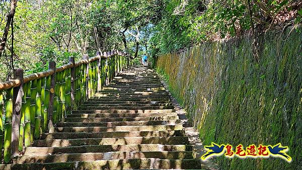 碧山巖-白石湖-龍船岩步道-鯉魚山小人國步道O形 (63).jpg