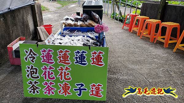 金山清水濕地-黃老伯蓮花園 (5).jpg