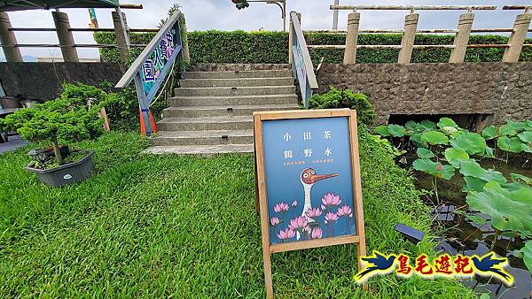 金山清水濕地-黃老伯蓮花園 (35).jpg
