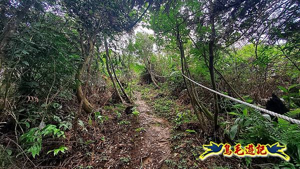 界寮縱走北段(基隆界寮-汐止柯子林山莊) (39).jpg