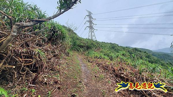 界寮縱走北段(基隆界寮-汐止柯子林山莊) (51).jpg