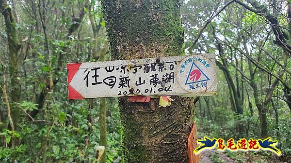 界寮縱走北段(基隆界寮-汐止柯子林山莊) (68).jpg