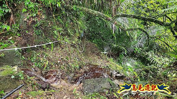 白鶯石古道、平溪子山出紫來產業道路 (5).jpg