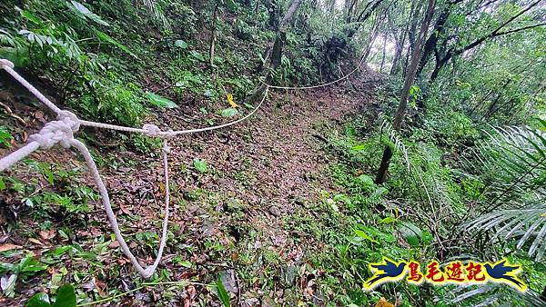 白鶯石古道、平溪子山出紫來產業道路 (10).jpg