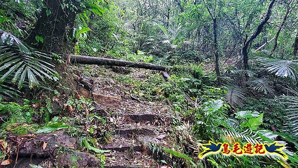 白鶯石古道、平溪子山出紫來產業道路 (9).jpg