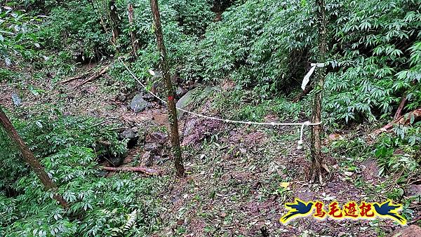 白鶯石古道、平溪子山出紫來產業道路 (11).jpg