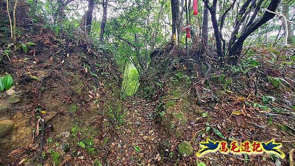 白鶯石古道、平溪子山出紫來產業道路 (16).jpg