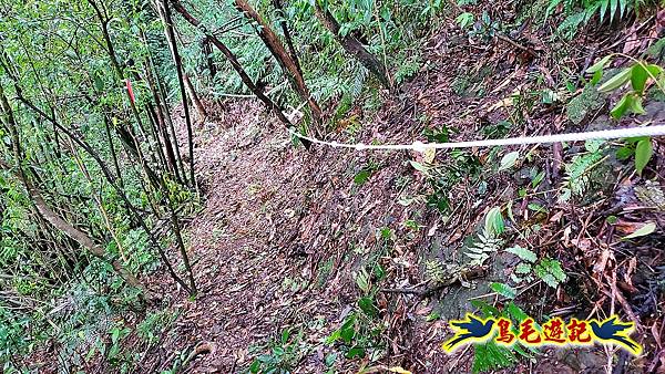 白鶯石古道、平溪子山出紫來產業道路 (23).jpg