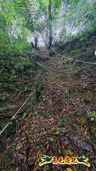 白鶯石古道、平溪子山出紫來產業道路 (26).jpg