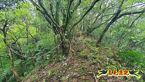 白鶯石古道、平溪子山出紫來產業道路 (27).jpg