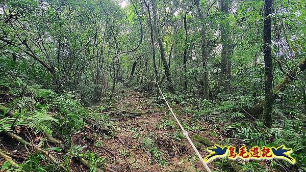 白鶯石古道、平溪子山出紫來產業道路 (37).jpg