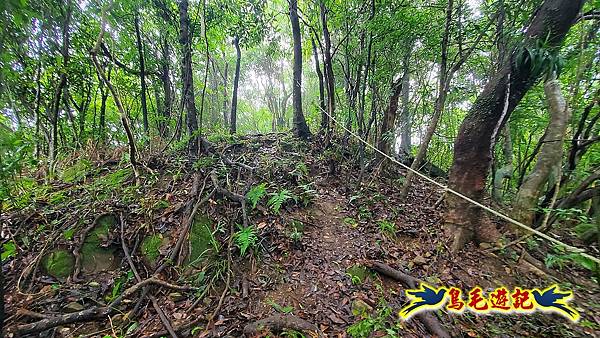 白鶯石古道、平溪子山出紫來產業道路 (41).jpg