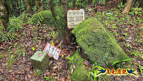 白鶯石古道、平溪子山出紫來產業道路 (43).jpg