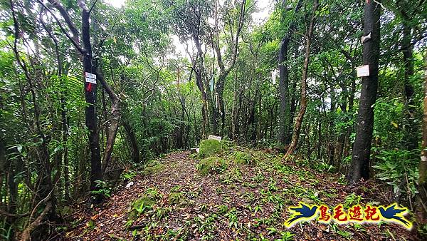 白鶯石古道、平溪子山出紫來產業道路 (44).jpg