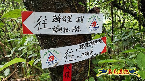 白鶯石古道、平溪子山出紫來產業道路 (51).jpg