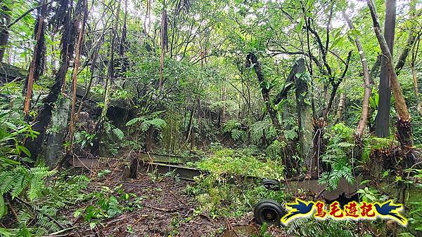 白鶯石古道、平溪子山出紫來產業道路 (53).jpg