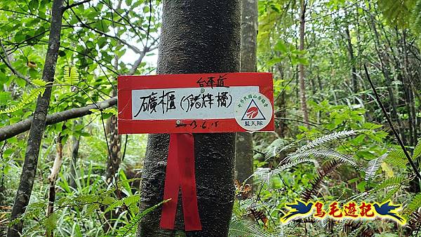 白鶯石古道、平溪子山出紫來產業道路 (54).jpg