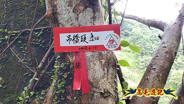 白鶯石古道、平溪子山出紫來產業道路 (59).jpg