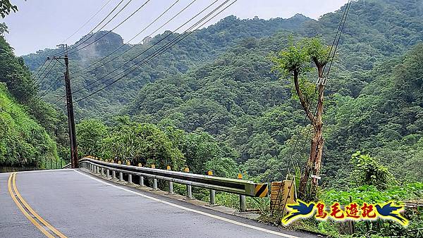 白鶯石古道、平溪子山出紫來產業道路 (66).jpg