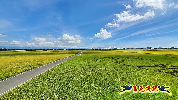 宜蘭版伯朗大道 (12).jpg