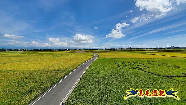 宜蘭版伯朗大道 (13).jpg