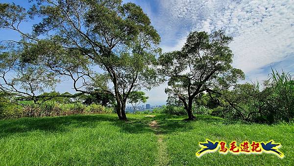 碧潭Hello Kitty%26;和美山土路山徑步道 (21).jpg